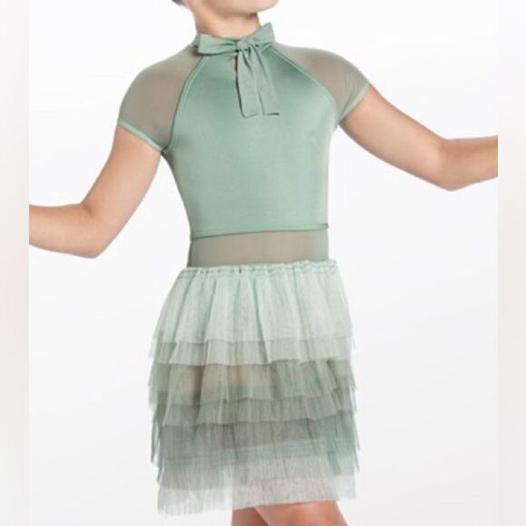 Weissman dance costume sage green modest Just As I Am
13835 tulle skirt XLC - Picture 1 of 13